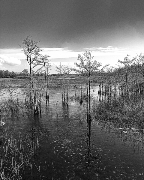 Sandy Friedkin