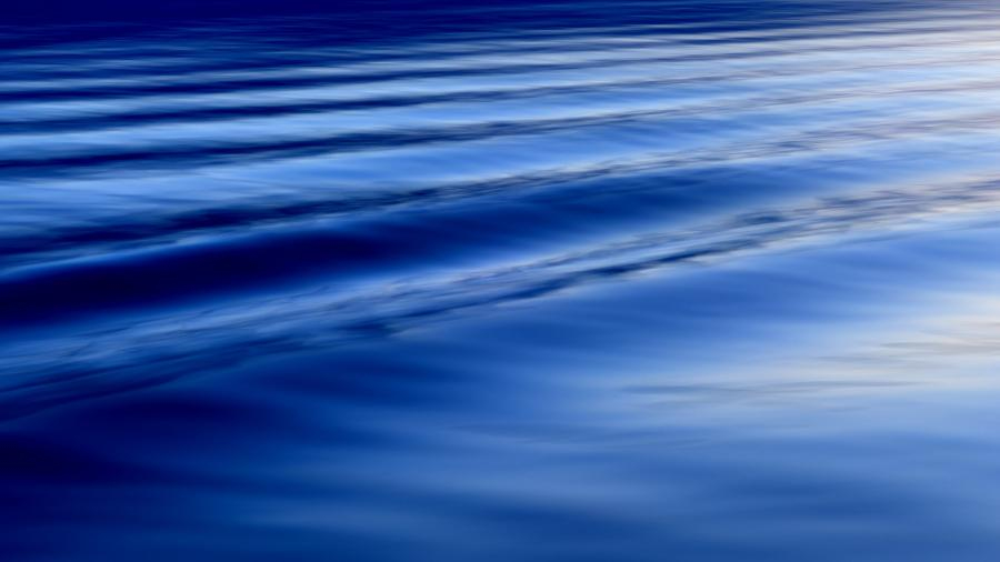 Brigitte B Burckhardt