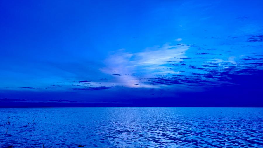 Brigitte B Burckhardt