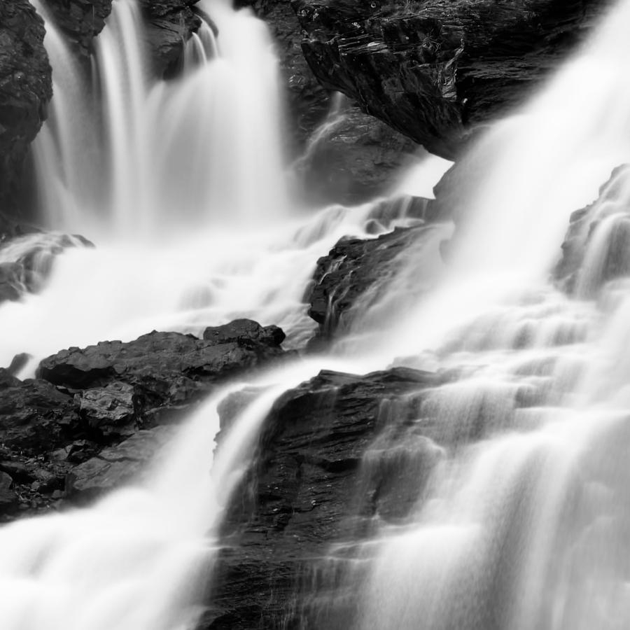 Brigitte B Burckhardt