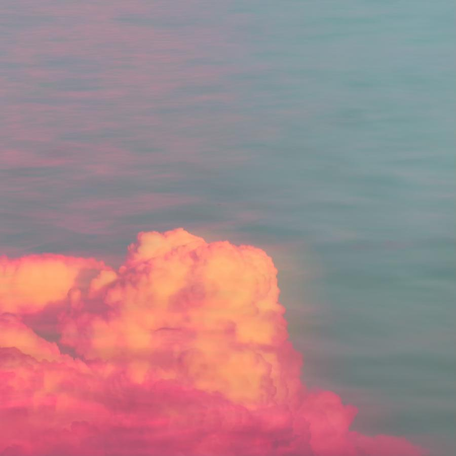 Brigitte B Burckhardt