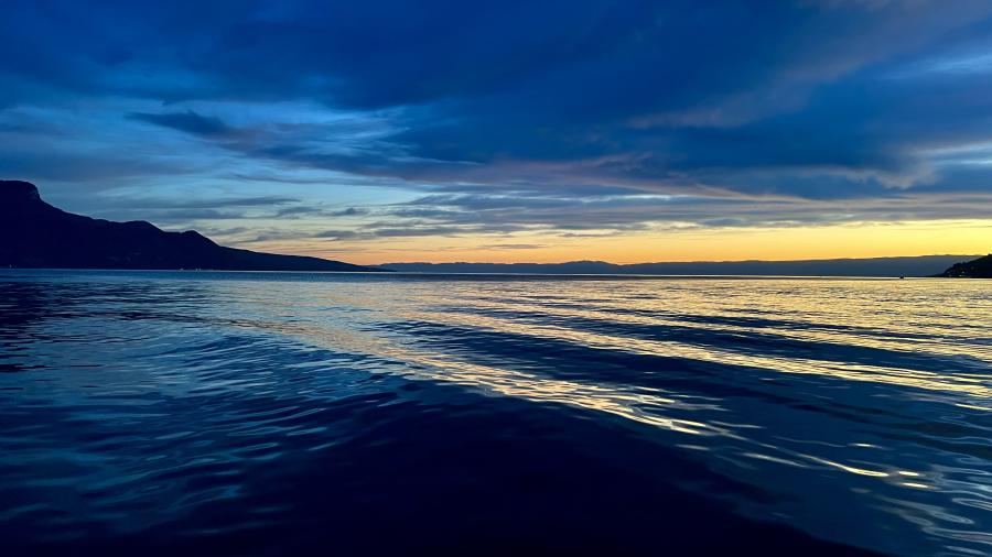 Brigitte B Burckhardt