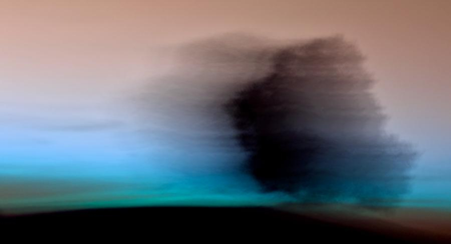 Brigitte B Burckhard