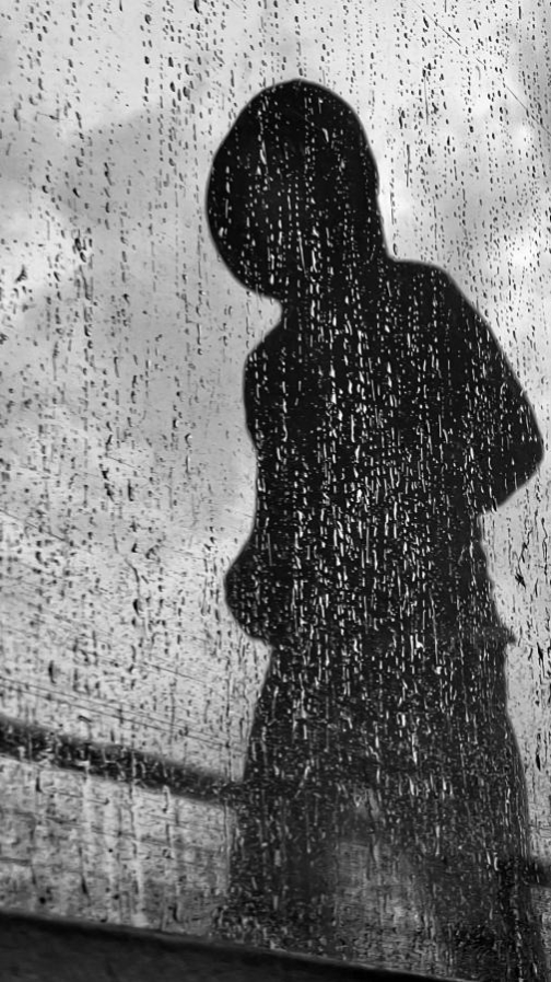 Brigitte B Burckhardt