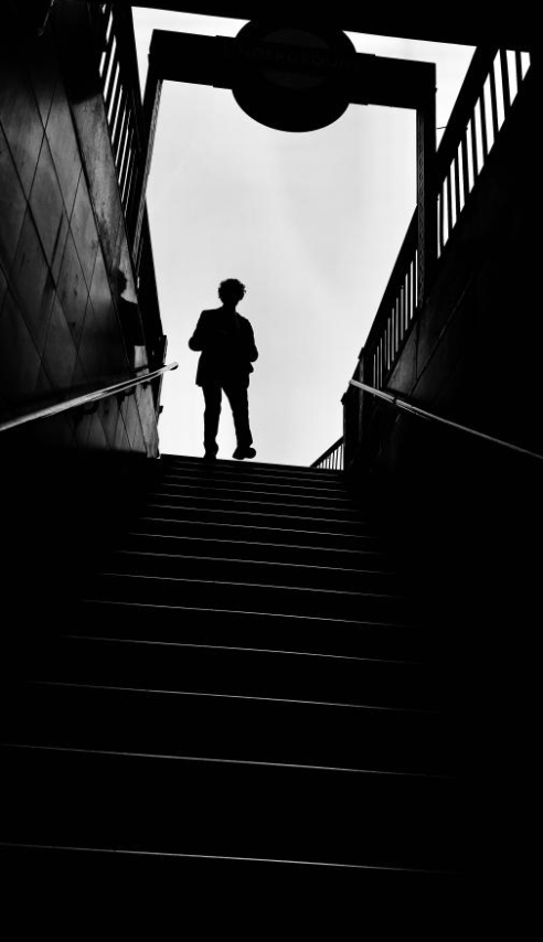 Brigitte B Burckhardt