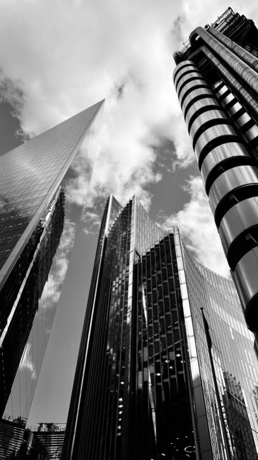 Brigitte B Burckhardt