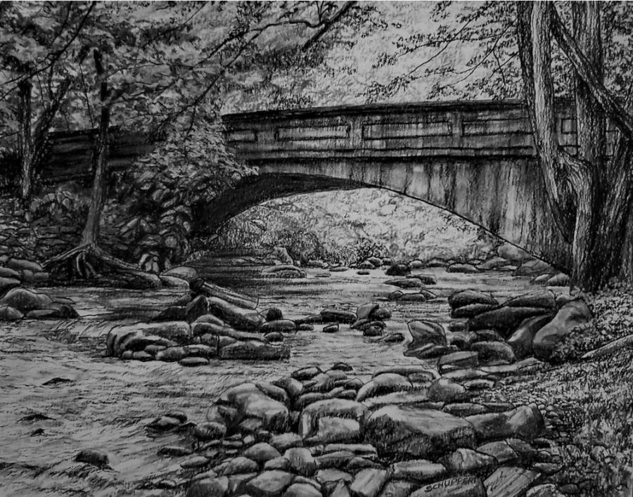 David Schuppert Johnson