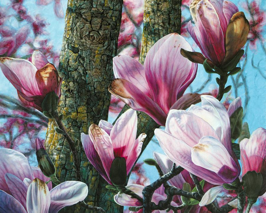 Chantal Bourque