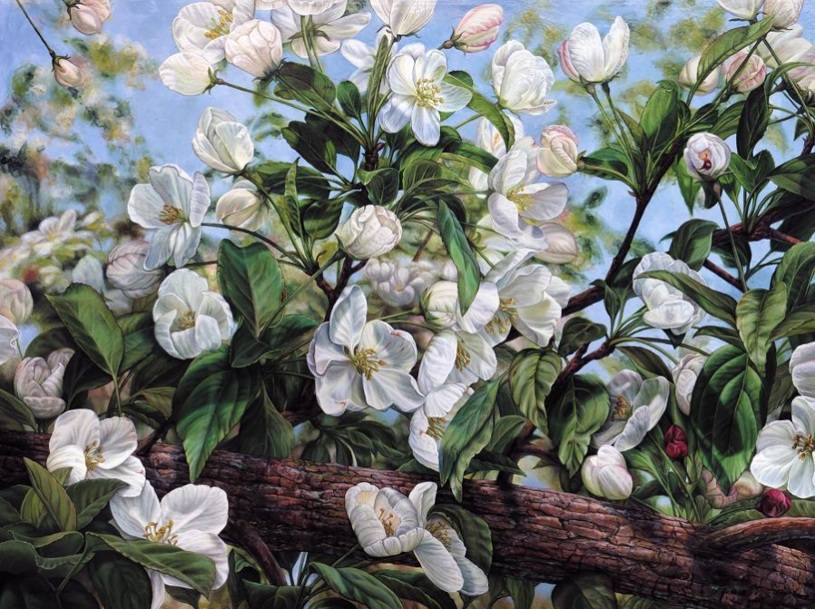 Chantal Bourque 