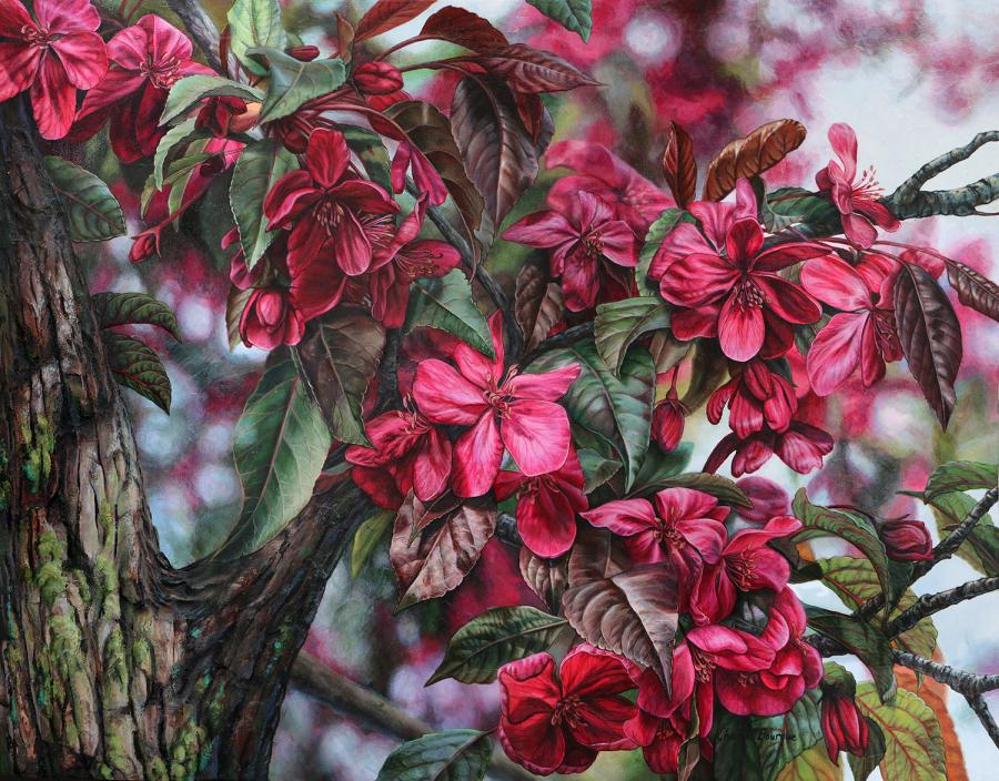 Chantal Bourque