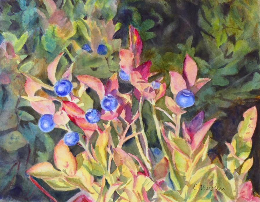 Elizabeth Burin