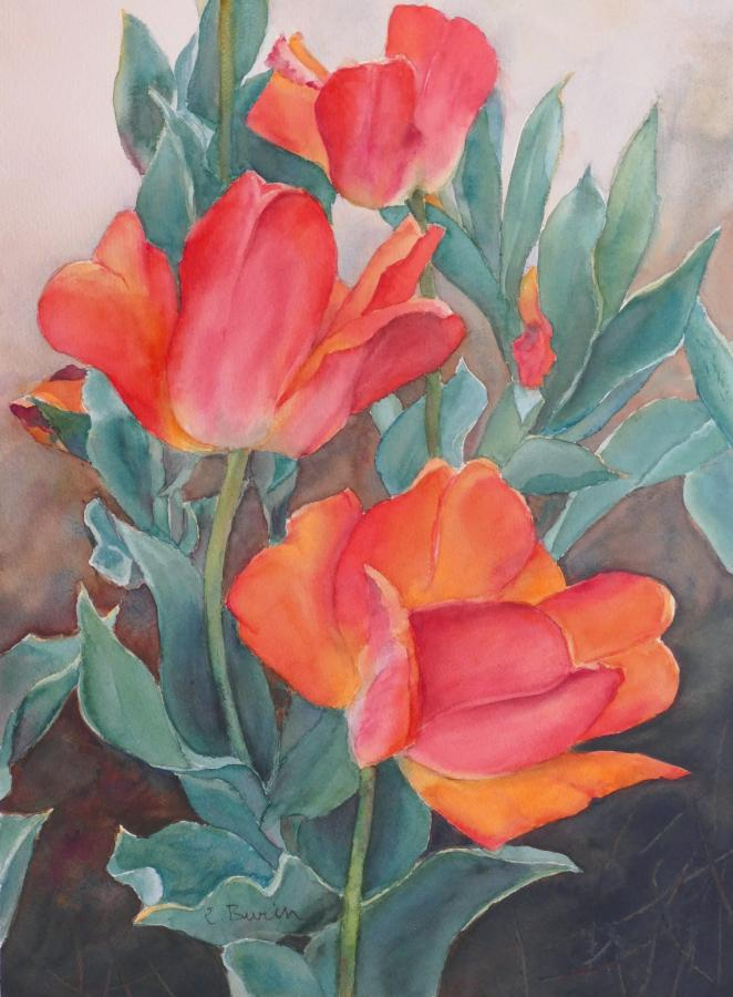Elizabeth Burin