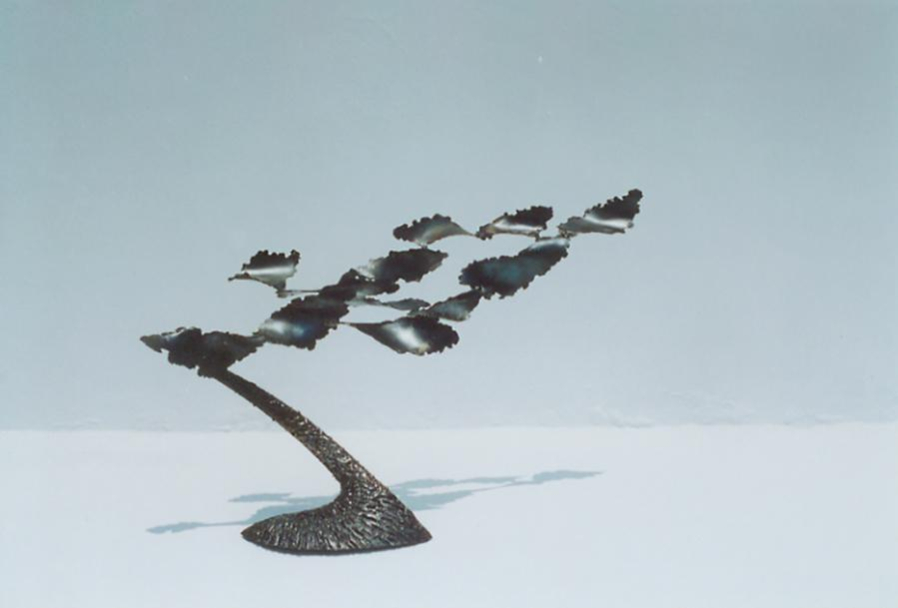 Jason Shih