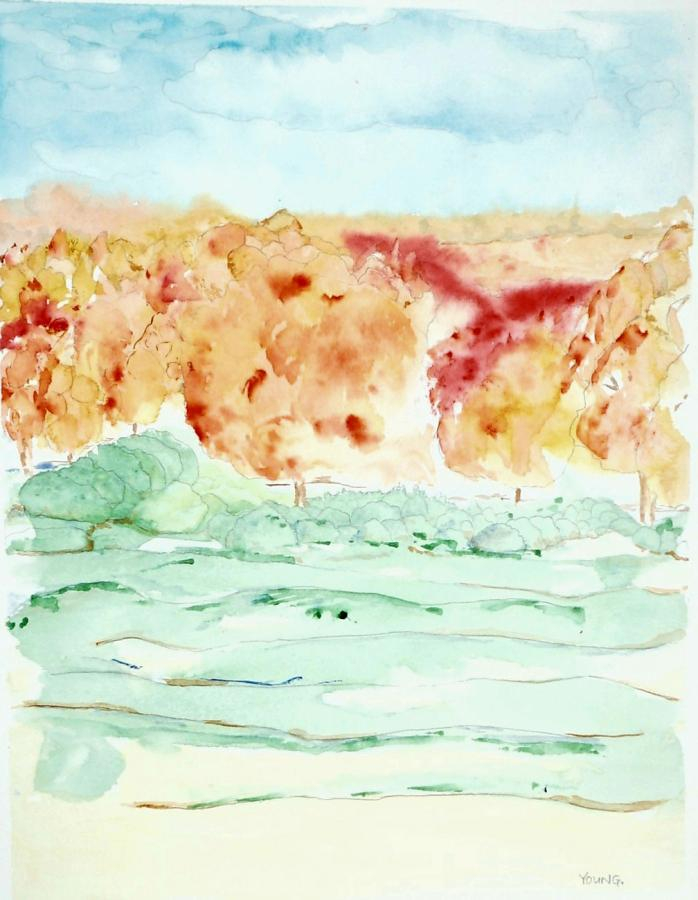 Elizabeth Young Latham