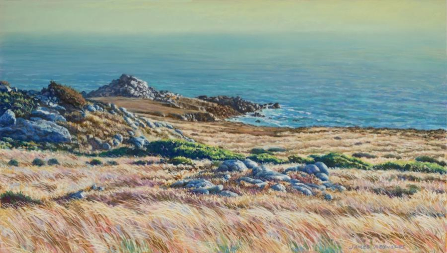 James R Reynolds