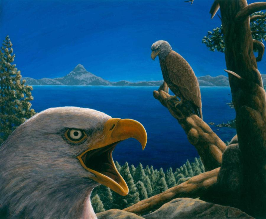 David Cabot