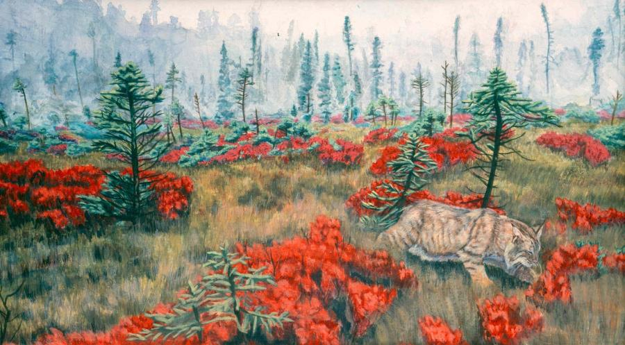 David Cabot