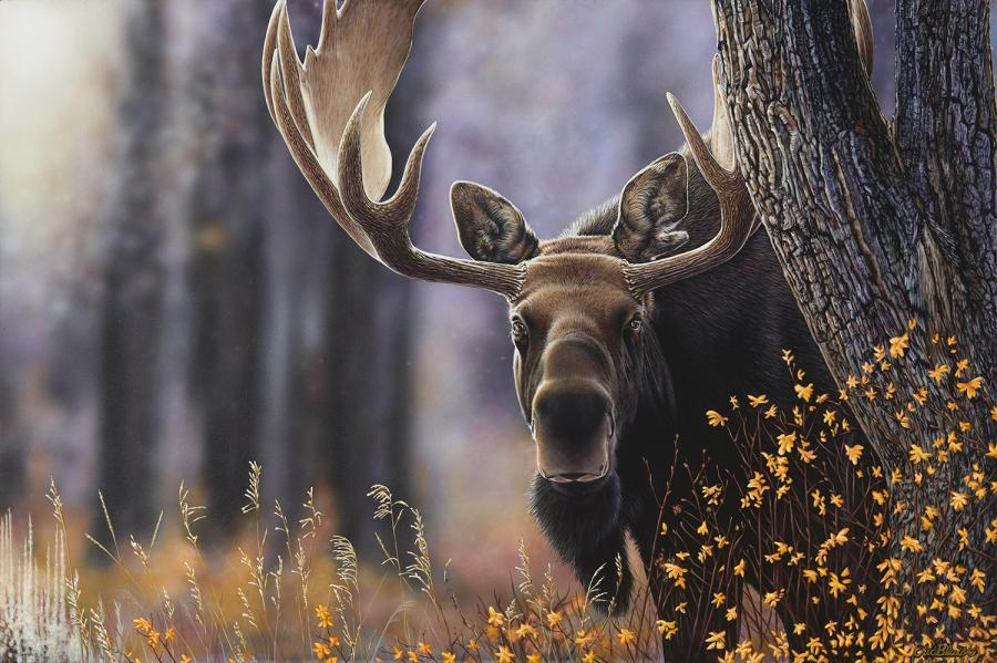 Eric Blais