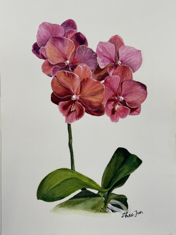 Lin Zhao Jun